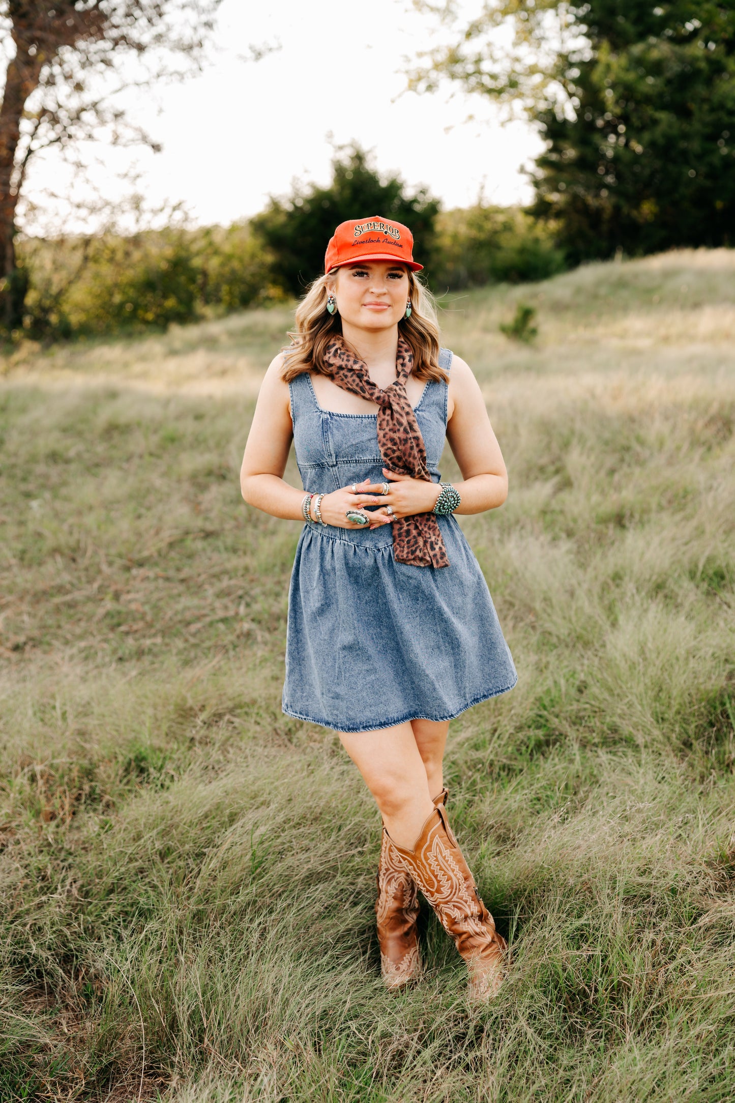 THE TAYLOR DENIM DRESS