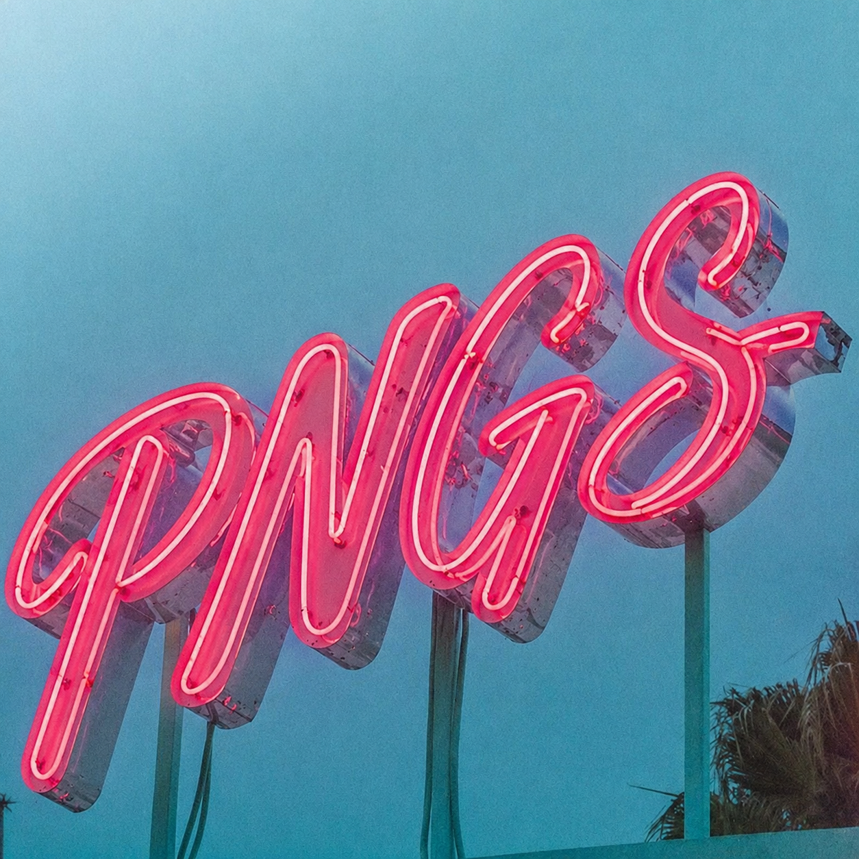 PNGS