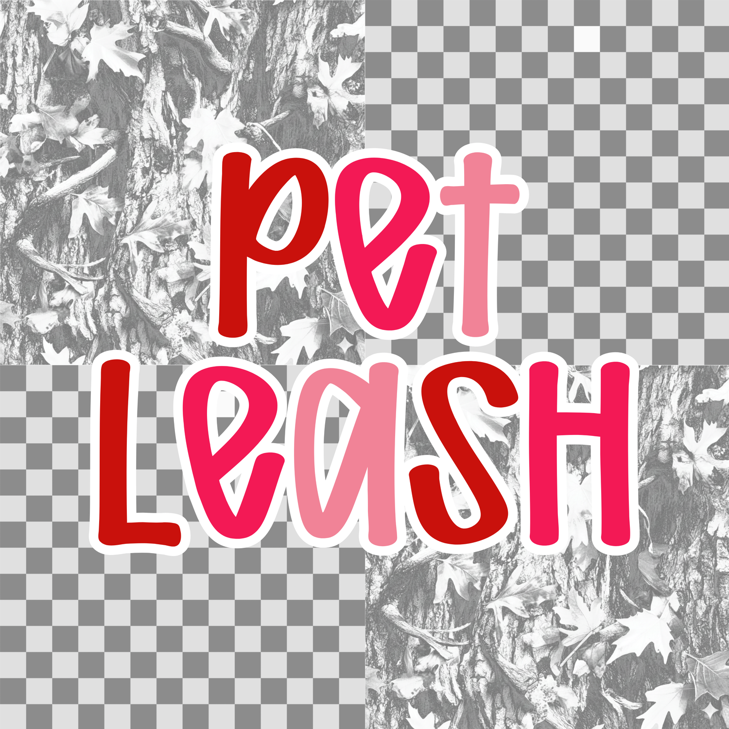 PET LEASH
