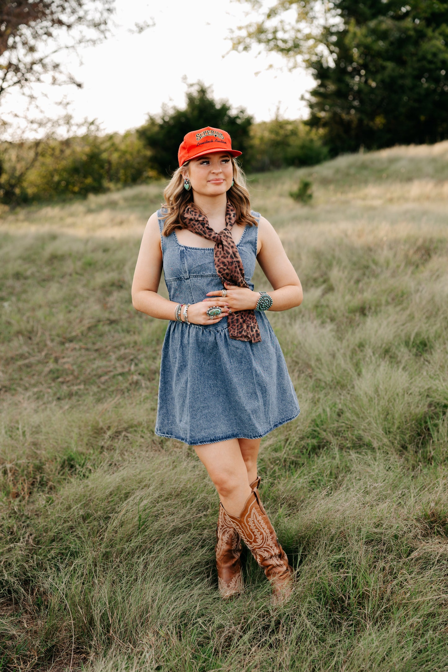 THE TAYLOR DENIM DRESS