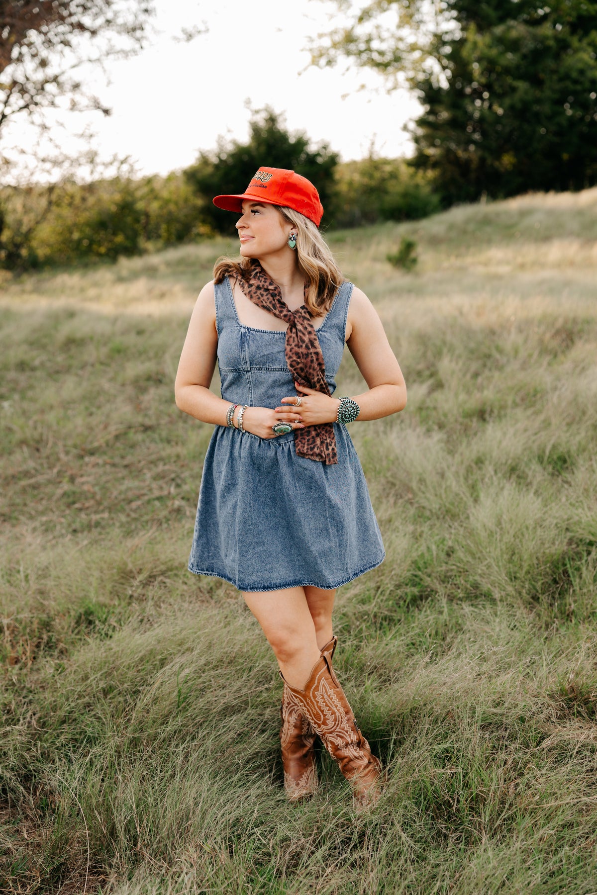 THE TAYLOR DENIM DRESS