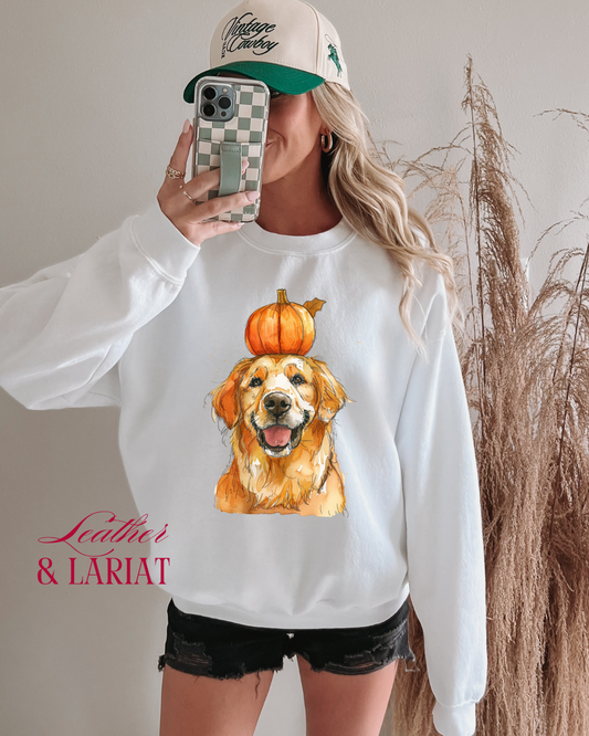 PUMPKIN GOLDEN RETRIEVER